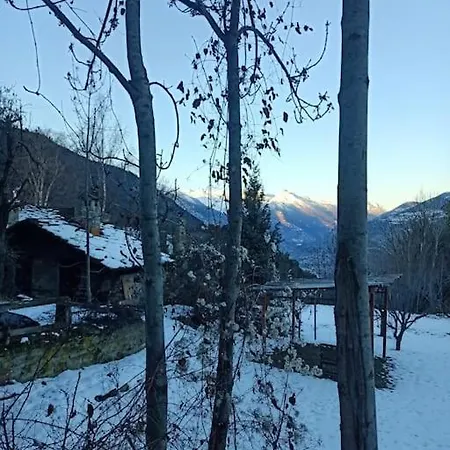 Tana Della Volpe 2 *